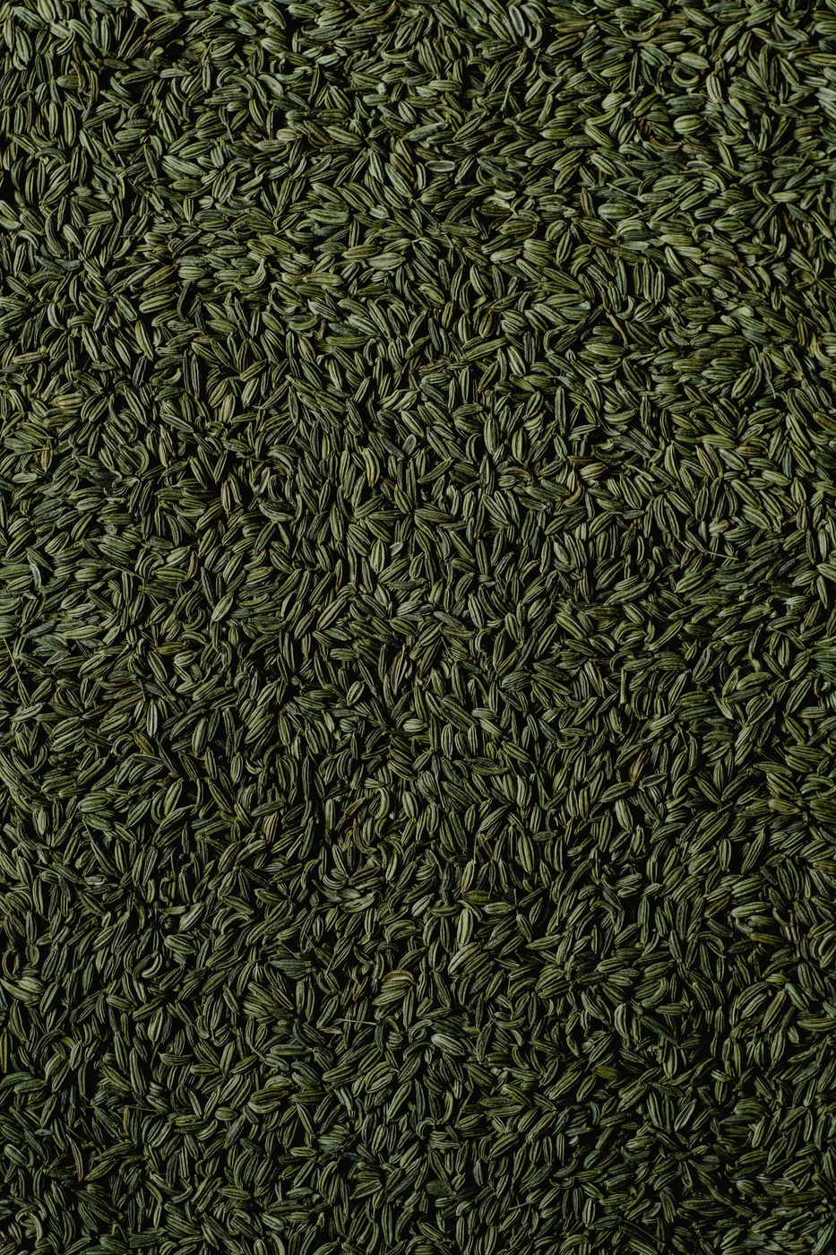 Fennel Seed